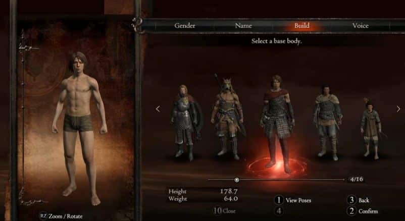 dragons dogma character build